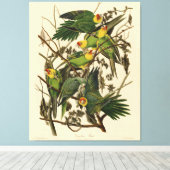 Toile Illustration Audubon Carolina Parrot Bird (Insitu (Plancher de Bois))