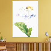 Toile Illustration botanique vintage (Insitu(Salon))