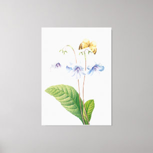 Toile Illustration botanique vintage
