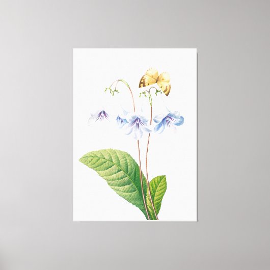Toile Illustration botanique vintage (Recto)
