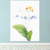 Toile Illustration botanique vintage (Insitu (Plancher de Bois))
