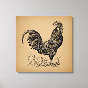 Toile Illustration Brown d'un coq d'époque