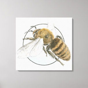 Toile Illustration d'abeille européenne de miel