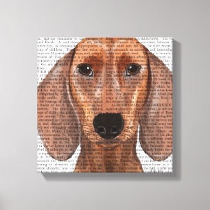 Toile Illustration Dachshund Plain