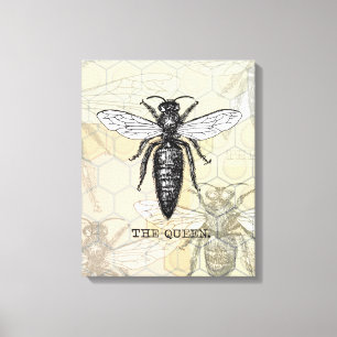 Toile Illustration d'antiquité de l'insecte de la reine