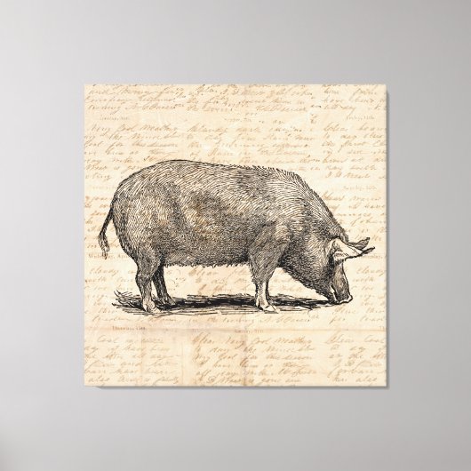 Toile Illustration de cochon Style de papier de script d (Recto)