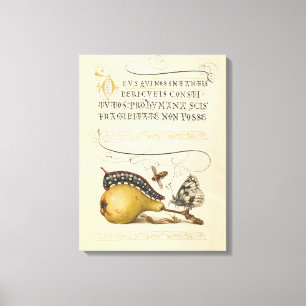 Toile Illustration de l'insecte du fruit du papillon