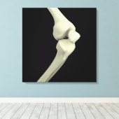 Toile Illustration De L'Os Du Genou, Courbe (Insitu (Plancher de Bois))