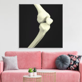 Toile Illustration De L'Os Du Genou, Courbe (Insitu(Salon))