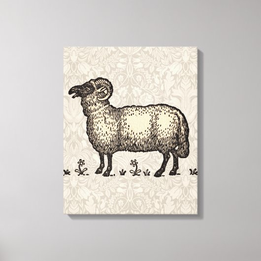 Toile Illustration de mouton vintage : Art classique de (Recto)