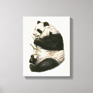 Toile Illustration de panda géant alimentant sur le