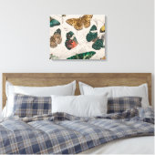 Toile Illustration de papillon antique : 1820 Orfèvre (Insitu(Chambre))
