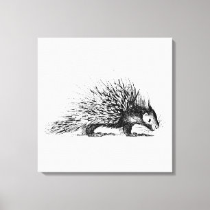 Toile Illustration de Porcupine vintage - Porcupines des