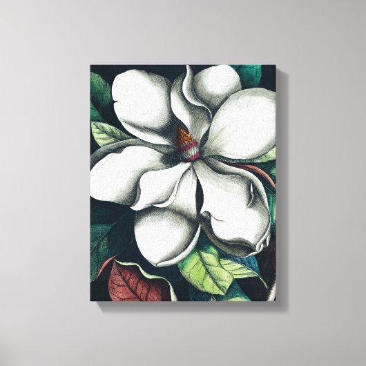 Toile Illustration de prime botanique de magnolia blanc (Recto)