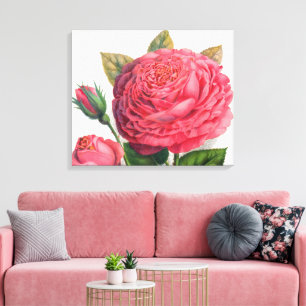 Toile Illustration de rose rose vintage