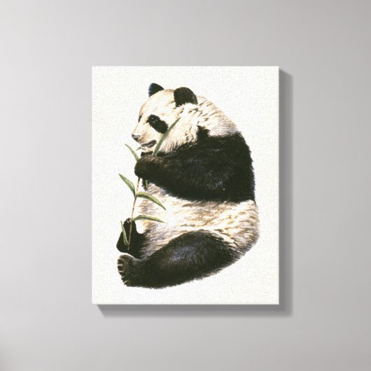 Toile Illustration du panda géant alimenté en bambou (Recto)