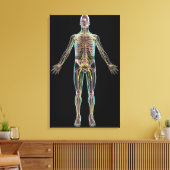 Toile Illustration du système nerveux (Insitu(Salon))