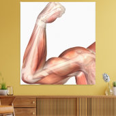 Toile Illustration D'Un Bras Flexé Montrant Des Biceps H (Insitu(Salon))