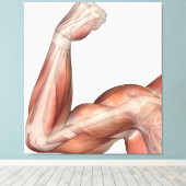 Toile Illustration D'Un Bras Flexé Montrant Des Biceps H (Insitu (Plancher de Bois))