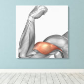 Toile Illustration D'Un Bras Flexé Montrant Un Bicep (Insitu (Plancher de Bois))