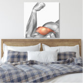Toile Illustration D'Un Bras Flexé Montrant Un Bicep (Insitu(Chambre))
