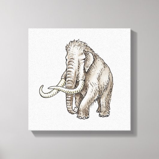 Toile Illustration d'un mammouth (Recto)