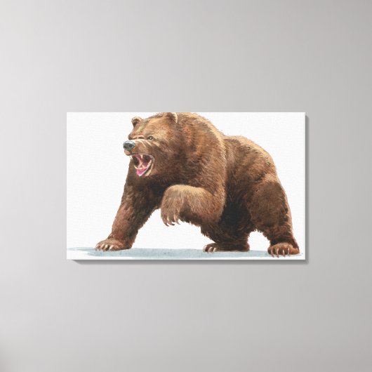 Toile Illustration d'un ours Brown (Recto)