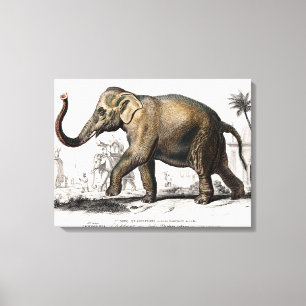 Toile Illustration Eléphant Art Vintage Imprimer