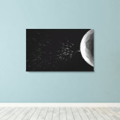 Toile Illustration en noir et blanc de la fécondation (Insitu (Plancher de Bois))