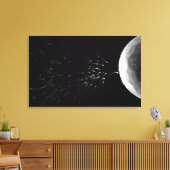 Toile Illustration en noir et blanc de la fécondation (Insitu(Salon))