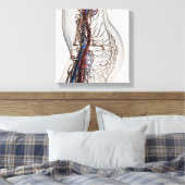 Toile Illustration Médicale Des Artères 2 (Insitu(Chambre))