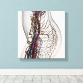 Toile Illustration Médicale Des Artères 2 (Insitu (Plancher de Bois))