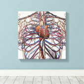 Toile Illustration Médicale Des Artères Du Sein Féminin (Insitu (Plancher de Bois))
