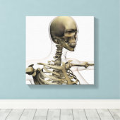 Toile Illustration Médicale Du Crâne D'Une Femme (Insitu (Plancher de Bois))