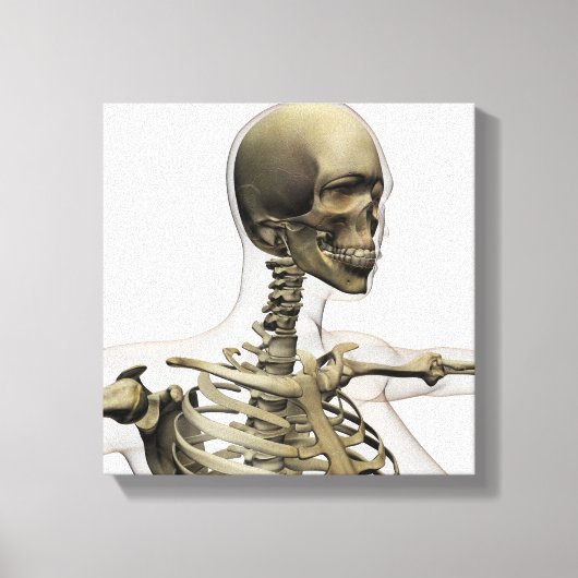 Toile Illustration Médicale Du Crâne D'Une Femme (Recto)