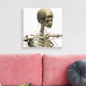 Toile Illustration Médicale Du Crâne D'Une Femme (Insitu(Salon))