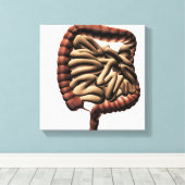 Toile Illustration Médicale Du Gros Intérieur (Insitu (Plancher de Bois))