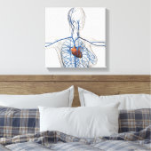 Toile Illustration Médicale Du Système Circulatoire (Insitu(Chambre))