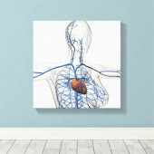 Toile Illustration Médicale Du Système Circulatoire (Insitu (Plancher de Bois))