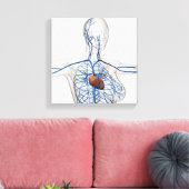 Toile Illustration Médicale Du Système Circulatoire (Insitu(Salon))