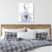 Toile Illustration Médicale Du Système Circulatoire (Insitu(Chambre))