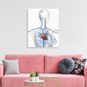 Toile Illustration Médicale Du Système Circulatoire (Insitu(Salon))