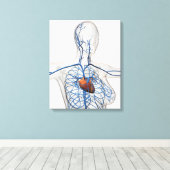 Toile Illustration Médicale Du Système Circulatoire (Insitu (Plancher de Bois))