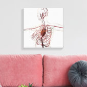 Toile Illustration Médicale Du Système Circulatoire Fémi (Insitu(Salon))