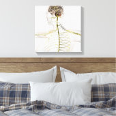 Toile Illustration Médicale Du Système Nerveux Humain (Insitu(Chambre))