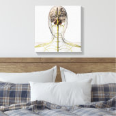 Toile Illustration Médicale Du Système Nerveux Humain 2 (Insitu(Chambre))