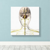 Toile Illustration Médicale Du Système Nerveux Humain 2 (Insitu (Plancher de Bois))