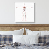 Toile Illustration Médicale : Système circulatoire fémin (Insitu(Chambre))