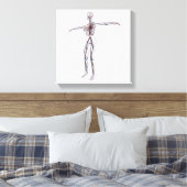 Toile Illustration Médicale : Système circulatoire fémin (Insitu(Chambre))