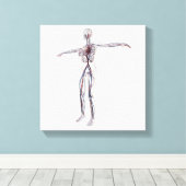 Toile Illustration Médicale : Système circulatoire fémin (Insitu (Plancher de Bois))